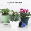 Kunststoff-Blumentopf, Sukkulenten-Topf mit Tablett, grüner Dill, rund, doppelschichtig, kleiner Blumentopf, Heimbüro, Desktop-Dekoration 5