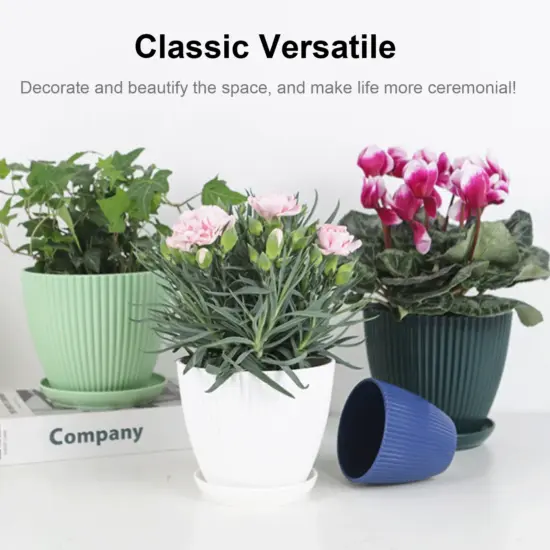 Kunststoff-Blumentopf, Sukkulenten-Topf mit Tablett, grüner Dill, rund, doppelschichtig, kleiner Blumentopf, Heimbüro, Desktop-Dekoration 5