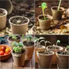 Kokos-Kokos-Samen-Starter, Pflanztöpfe, biologisch abbaubare Kindergartentöpfe, Setzlingstöpfe, Keimschalen, Etiketten, Samen, Aussaat 5