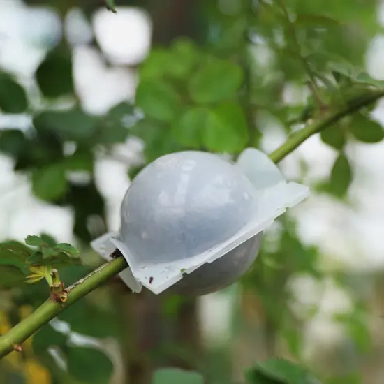 Gartenpflanze Wurzelkugel Inkubator Hochdruck Inkubator Gepfropfter Baum Wurzelung Sämling Anbau Ball Klein Mittel 6