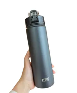 550/750 ml Wasserflasche mit Strohhalm Tyeso Vakuumisolierter Kolben Thermobecher Tumbler Kaffeethermoskanne aus Edelstahl 304