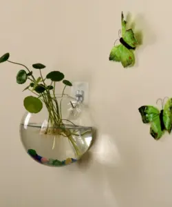 Glasvase, Wandbehang, Hydrokultur, Terrarium, Fischtanks, Topfpflanze, Blumentopf