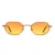 008 Orange Lens