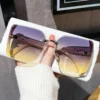 2025, neue modische Sonnenbrille mit Halbrahmen, hochwertiger Trend, einfache Sonnenbrille für Damen mit feinem Glitzer (DS-1002) 3