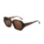 002 Brown Lens