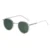 C06 Silver green