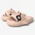 7 Pink Pirate Shark