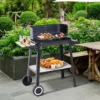 Out sunny Grill Holzkohle Höhe Grills verstellbare Regale Räder 83x37x87 cm
