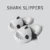 Little cat shark
