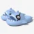 7 Blue Pirate Shark