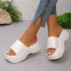 Rosa Eva Keilabsatz Frau Hausschuhe Sommer Strand Plattform Sandalen Frauen Outdoor Weiche Sohle Wolke Hausschuhe Schuhe Mule Flip-Flops 3