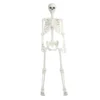 Halloween-Requisiten, 5,4 Fuß, lebensgroß, leuchtendes Skelett-Dekor, bewegliche Gelenke, Ganzkörperknochen, Skelett-Party-Requisite mit leuchtenden Augen