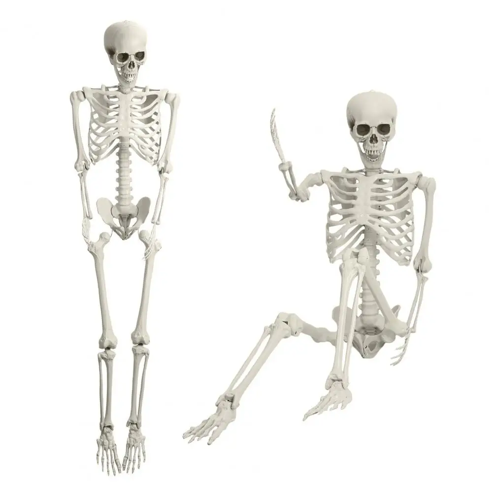 165 cm Kunststoff-Skelett, lebensgroße Nachahmung, realistische Ganzkörperknochen mit beweglichen Gelenken, Piraten-Styling, Halloween-Pose-Dekor 4