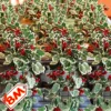 8/2m künstliche Stechpalmen blatt Rebe rote Beeren Weihnachts stern Blume Weihnachten Rattan Indoor Party Weihnachts baum Kranz Dekoration