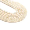 Natürliche weiße Zhuji Süßwasser perlen Perlen Ebene eine lose Reisform Perle für Schmuck machen DIY Frauen Halskette Armband Versorgung 5