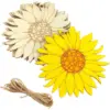 10 Stück unlackierte Holzstücke mit Cartoon-Blumenmuster, unlackierte Holzausschnitte für DIY-Handwerk, Frühlings- und Sommerdekoration
