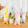 1pc Kinder Ostern Geschenke Gesichtslosen Gnome Kaninchen Puppen Hase Karotte Zwerg Plüsch Puppe Frühling Ostern Hängende Dekoration Für wohnkultur 5