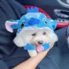 Anime Cartoon Niedliches Lilo & Stitch Haustier-Kostüm Katze Hund Verwandlungs-Plüschjacke mit Druckknöpfen Vierbeinige Kleidung Überraschungsgeschenk für Fans 4