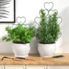 Pflanzenunterstützung, Gartengeräte, Balkonzubehör, Pflanzen, Bonsai-Werkzeug für Setzlinge, Utensilien, Spalier, Zubehör, Wachstum, Klettern 3