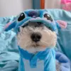 Anime Cartoon Niedliches Lilo & Stitch Haustier-Kostüm Katze Hund Verwandlungs-Plüschjacke mit Druckknöpfen Vierbeinige Kleidung Überraschungsgeschenk für Fans 5