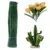 C-31-100 PCS