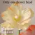Flower Head 03