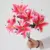 rosered01