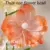 Flower Head 05