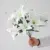 white01