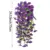 Purple 1PC