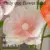 Flower Head 04
