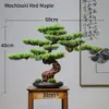 Simulation willkommen Kiefer Landschafts bau Dekorationen, grüne Pflanze Bonsai Ornamente, Haus, Wohnzimmer, Hotel, Veranda Dekoration 6