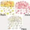 60 Stück künstliche Blumen Kopf Seide Rose gefälschte Blumen Home Decor Party Supplies Hochzeit Dekoration Handwerk Geschenke Kranz Zubehör 3