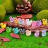 30/60/100PCS leuchtende Mini-Ente, Mikro-Landschaftszugang, Miniaturfiguren, Feen-Heimdekoration, leuchtet im Dunkeln, gemischter Stil 5