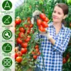 Pflanzengitter mit A-Rahmen, rostfreies Gemüseklettergitter-Set mit Kletternetz, Gartengitter, Unterstützung für den Außenbereich 4
