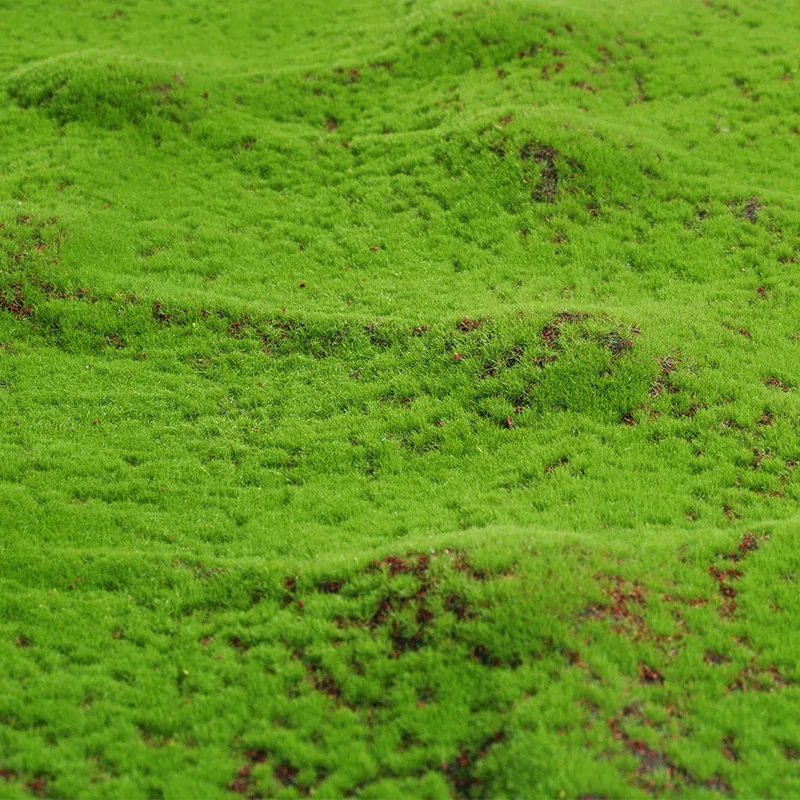 50X50cm Kunstrasen Teppich Gefälschte Moos Rasen Garten Landschaft Rasen Rolle Festival Hochzeit Dekoration Matte Teppich 2