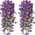 Purple-2PC