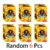 Random 6PCS
