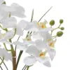 Künstliche Phalaenopsis-Orchideen-Topfpflanze, realistische Kunstblume mit Keramiktopf, pflegeleicht, Tischdekoration für Zuhause und Büro 6