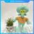 30CM Squidward