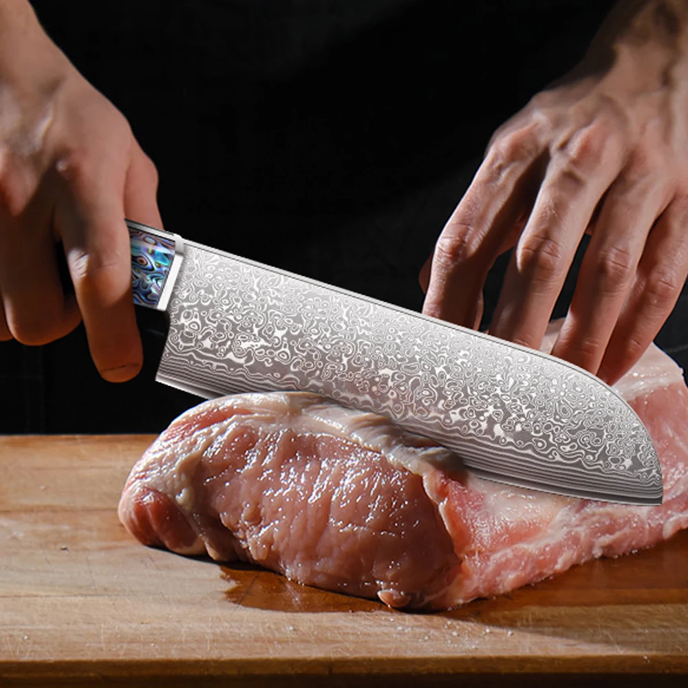 Damaskus Santoku-Messer, VG-10 Kernstahl 67 Lagen Professionelles Fleischmesser, Scharfe Klinge Santoku Küchenmesser mit Ergonomischem Griff 3