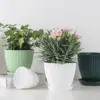 Kunststoff-Blumentopf, Sukkulenten-Topf mit Tablett, grüner Dill, rund, doppelschichtig, kleiner Blumentopf, Heimbüro, Desktop-Dekoration 4