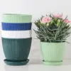 Kunststoff-Blumentopf, Sukkulenten-Topf mit Tablett, grüner Dill, rund, doppelschichtig, kleiner Blumentopf, Heimbüro, Desktop-Dekoration