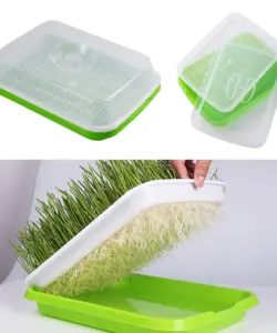 Keimtablett Tablett Samenkeimtablett Sämlingstablett Weizengras Samenpflanzung Soilless Anbau Pflanztopf