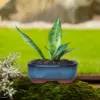 Keramik-Garten-Pflanztöpfe, runder Sukkulenten-Orchideen-Blumentopf für Blumenpflanzen im Innen- und Außenbereich, Blumentopf, Blumentopf mit Löchern 5