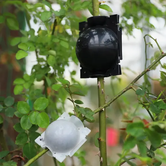 Gartenpflanze Wurzelkugel Inkubator Hochdruck Inkubator Gepfropfter Baum Wurzelung Sämling Anbau Ball Klein Mittel 5