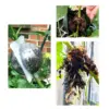 Gartenpflanze Wurzelkugel Inkubator Hochdruck Inkubator Gepfropfter Baum Wurzelung Sämling Anbau Ball Klein Mittel 4