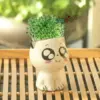Keramik Blumentopf Mini Katze geformt Cartoon niedlichen Topfpflanze Desktop Topf Ausdruck Katze Pflanze Topf Schreibtisch dekorieren kleine Ornament 4