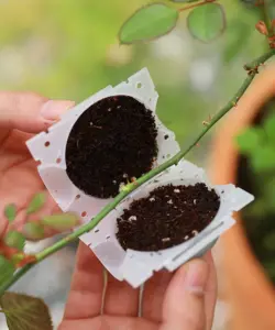Gartenpflanze Wurzelkugel Inkubator Hochdruck Inkubator Gepfropfter Baum Wurzelung Sämling Anbau Ball Klein Mittel