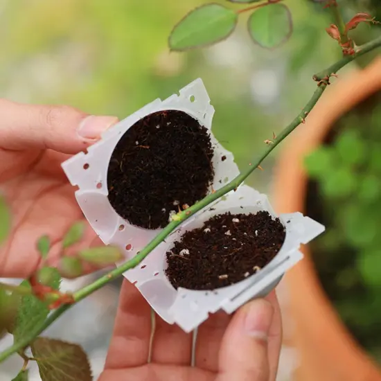 Gartenpflanze Wurzelkugel Inkubator Hochdruck Inkubator Gepfropfter Baum Wurzelung Sämling Anbau Ball Klein Mittel